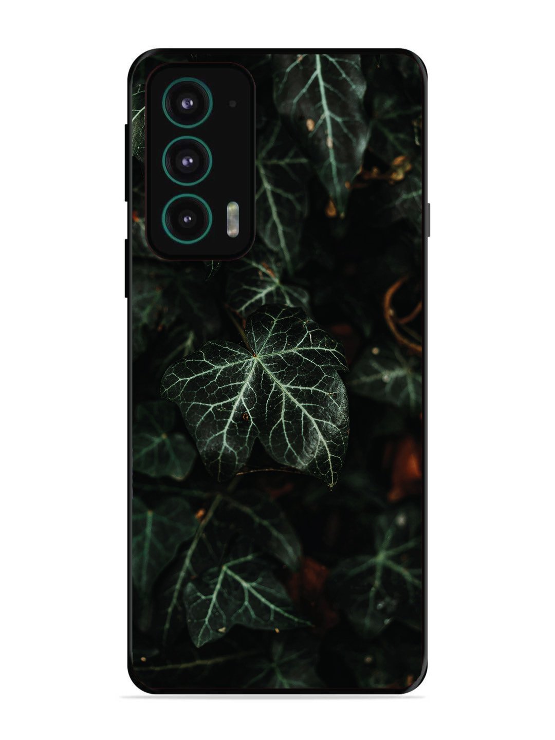 Motorola Moto Edge 20 Betel Leafs