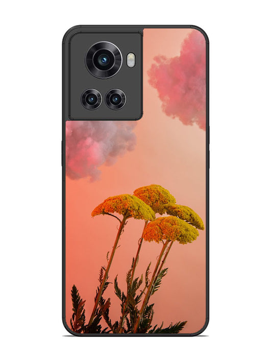 OnePlus 10R Floral Sunset Blossom Sky