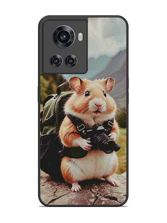 OnePlus 10R Camera Squirrel