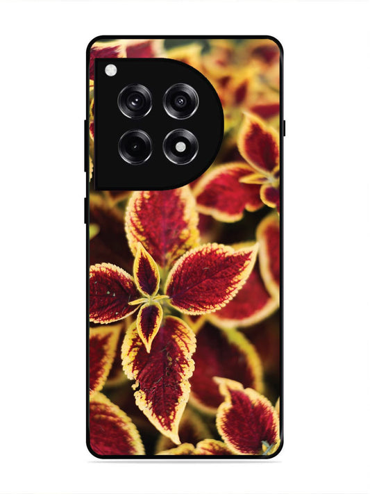 OnePlus 12R Autumn Blaze