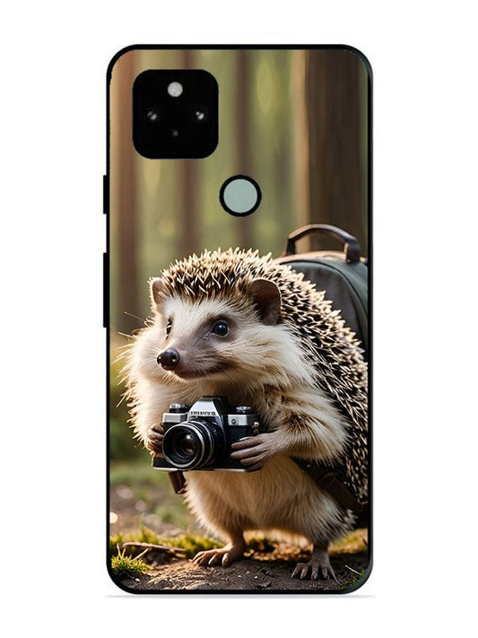 Google Pixel 5 Wildlife Photographer