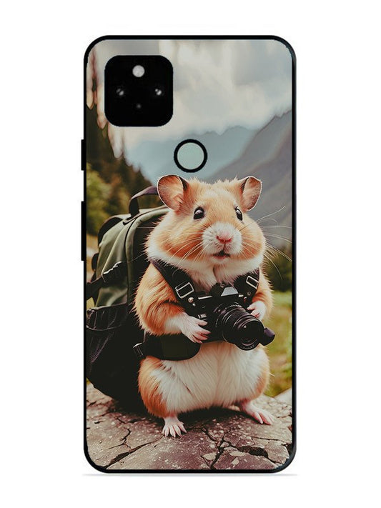 Google Pixel 5 Camera Squirrel