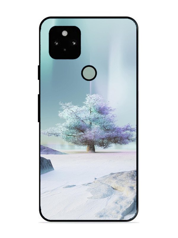 Google Pixel 5 Tree on lceland