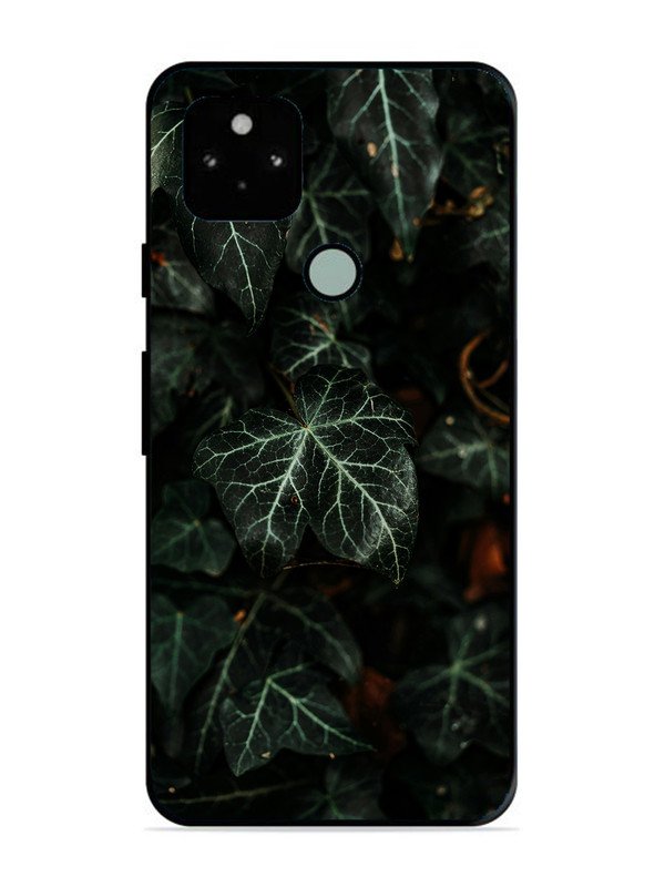 Google Pixel 5 Betel Leafs