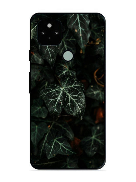 Google Pixel 5 Betel Leafs