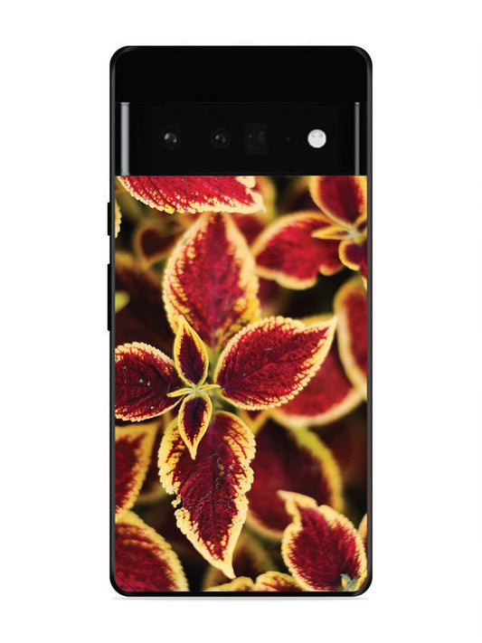 Google Pixel 6 Pro Autumn Blaze