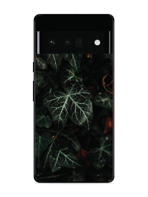 Google Pixel 6 Pro Betel Leafs