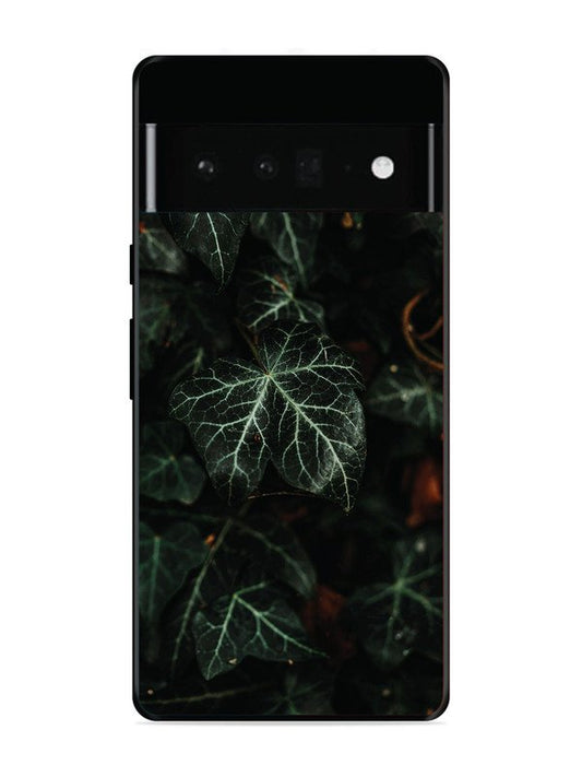 Google Pixel 6 Pro Betel Leafs