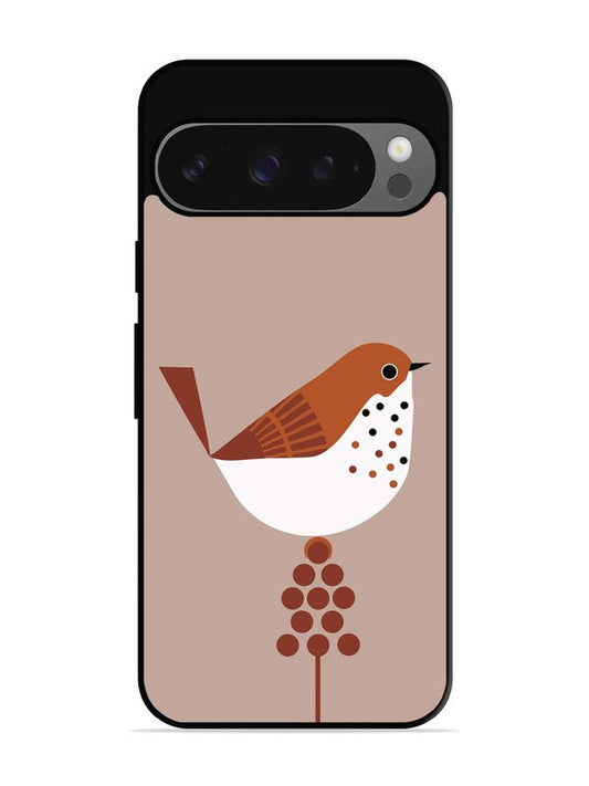 Google Pixel 9 Sparrow