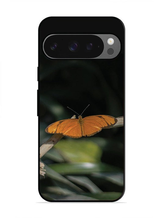 Google Pixel 9 Beautiful Butterfly