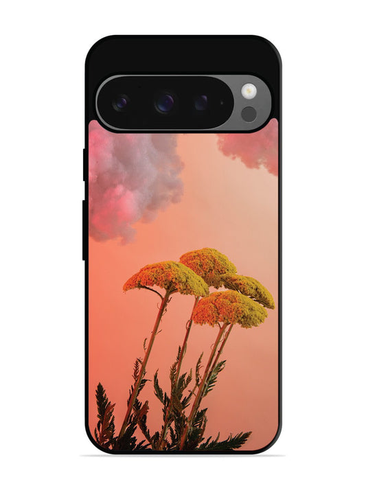 Google Pixel 9 Pro Floral Sunset Blossom Sky