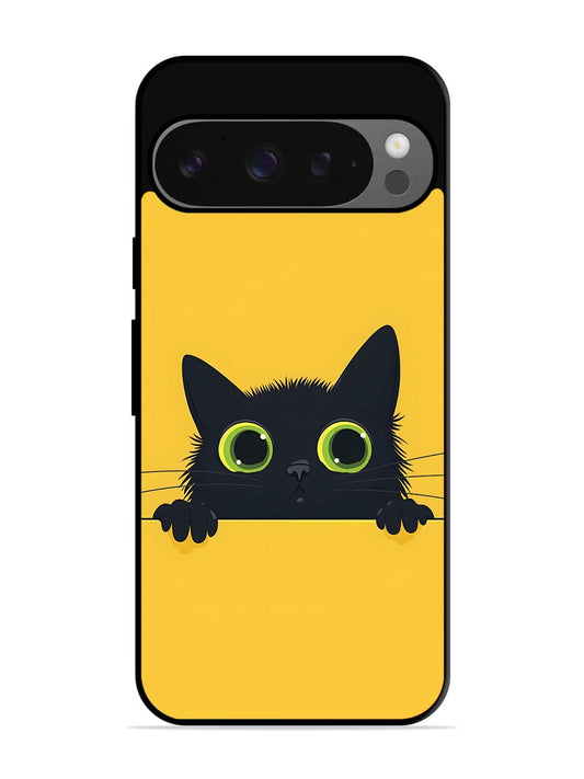 Google Pixel 9 Pro Cat