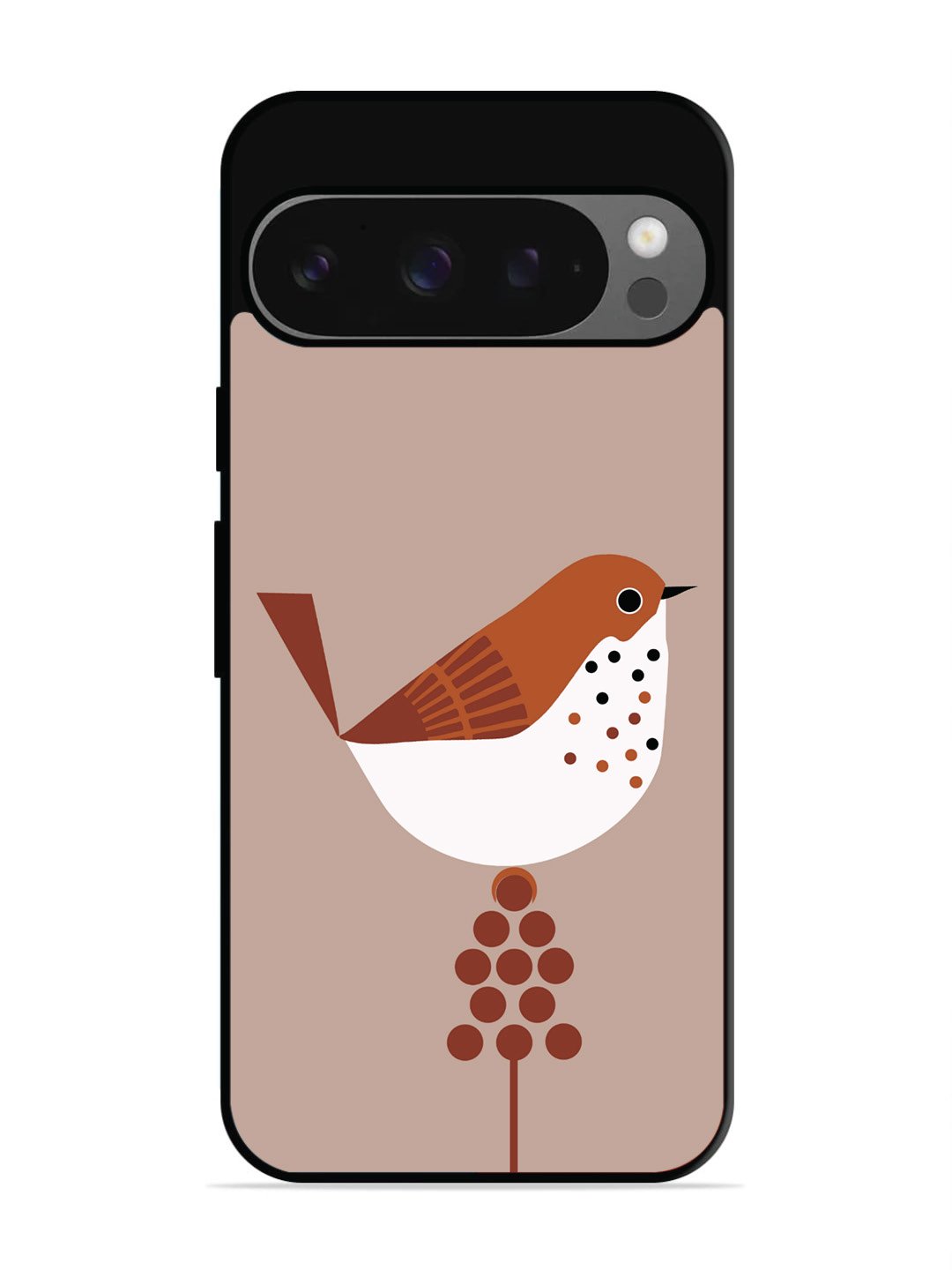 Google Pixel 9 Pro Sparrow
