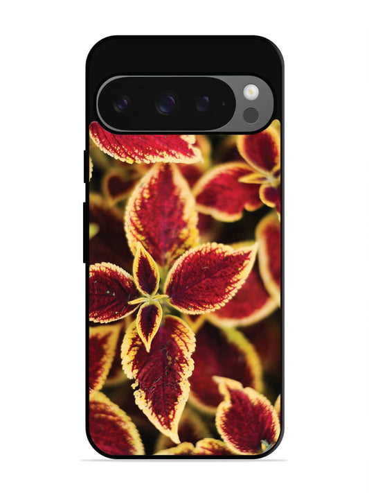 Google Pixel 9 Pro Autumn Blaze