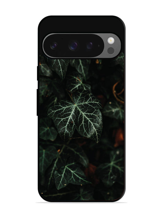 Google Pixel 9 Pro Betel Leafs
