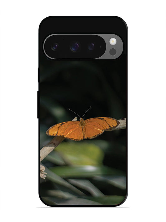 Google Pixel 9 Pro Beautiful Butterfly