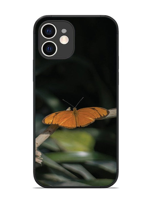 iPhone 12 Beautiful Butterfly