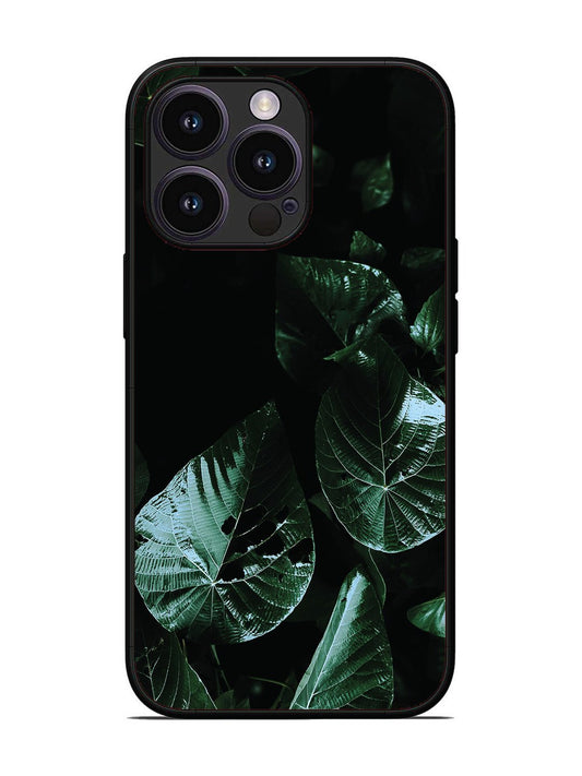 iPhone 14 Pro Leafs at night