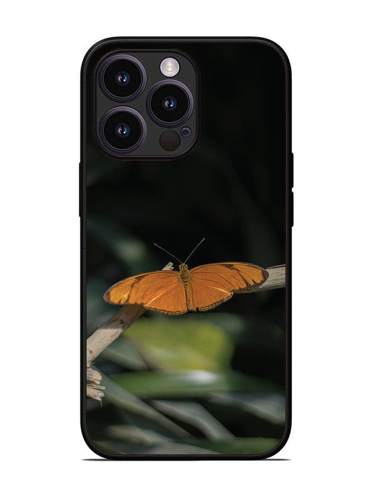iPhone 14 Pro Beautiful Butterfly