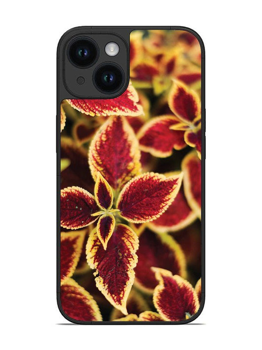 iPhone 14 Autumn Blaze
