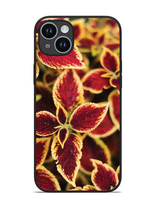 iPhone 14 Plus Autumn Blaze