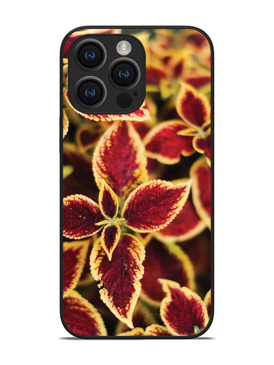 iPhone 14 pro max Autumn Blaze