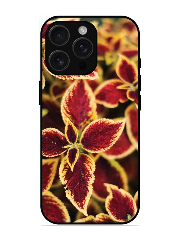 iPhone 16 Pro Max Autumn Blaze