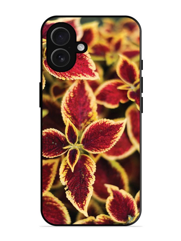 iPhone 16 Plus Autumn Blaze