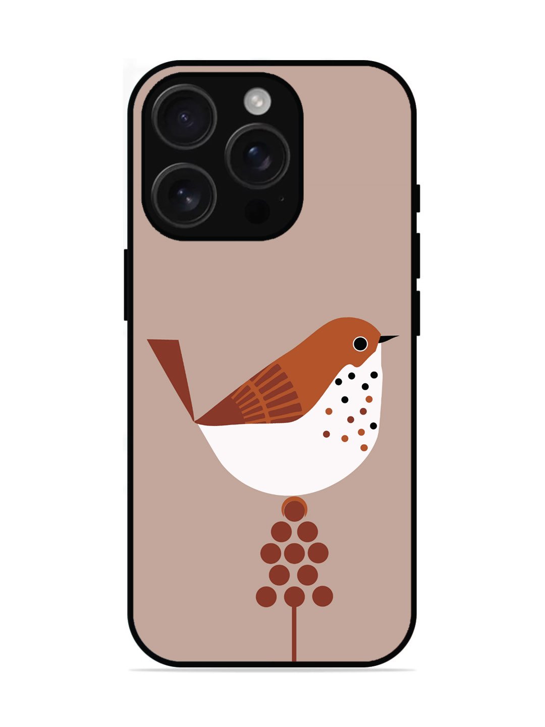 iPhone 16 Pro Sparrow