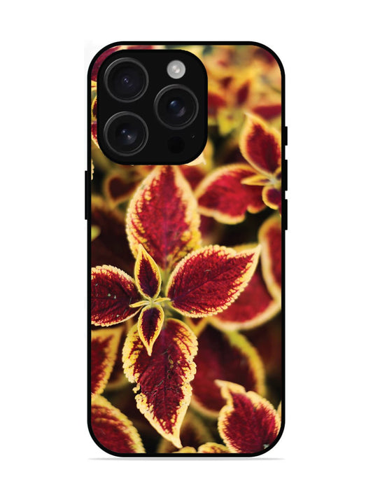 iPhone 16 Pro Autumn Blaze