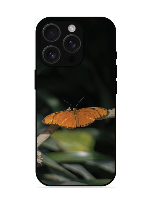 iPhone 16 Pro Beautiful Butterfly
