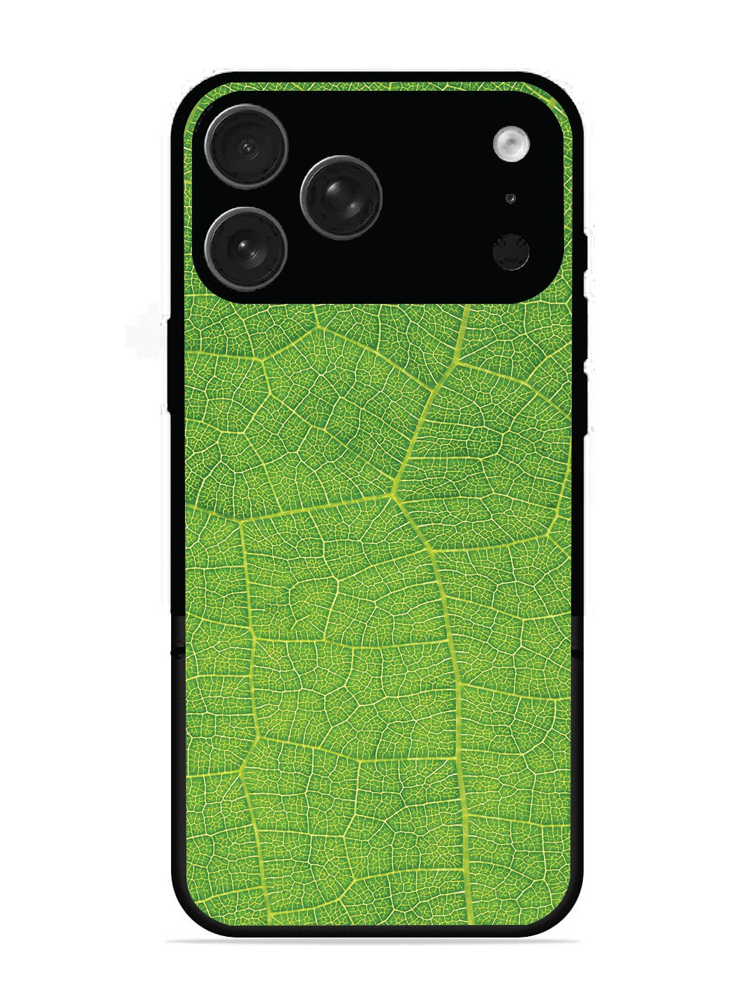 iPhone 17 Pro Max Leaf vins