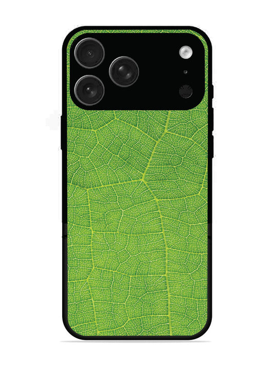 iPhone 17 Pro Max Leaf vins