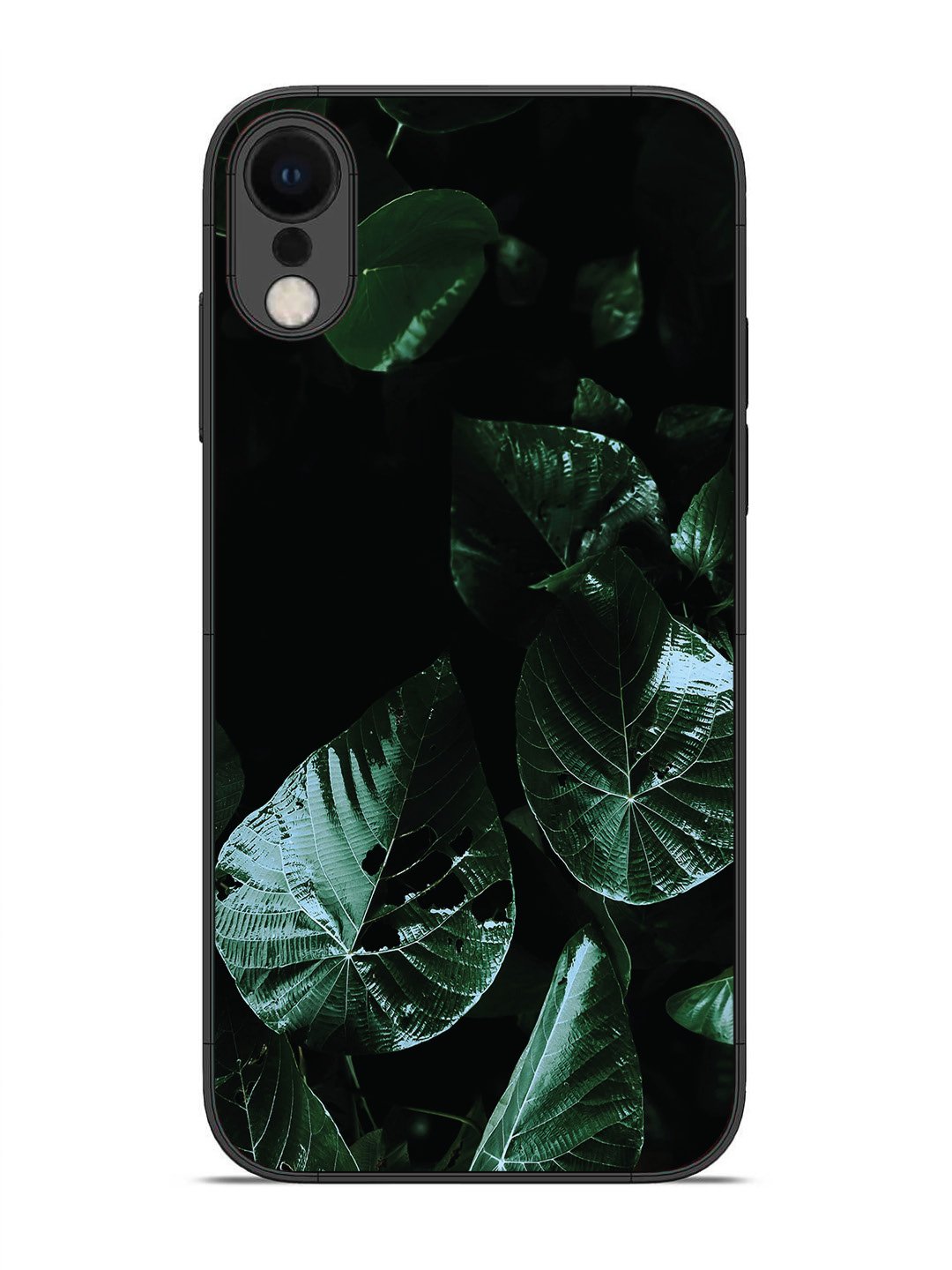 iPhone XR Leafs at night
