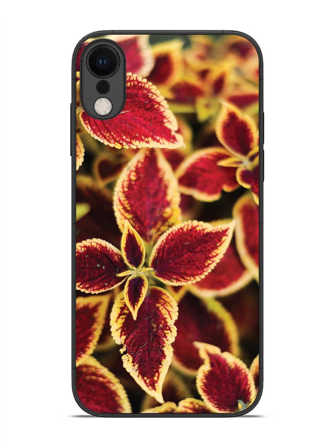 iPhone XR Autumn Blaze