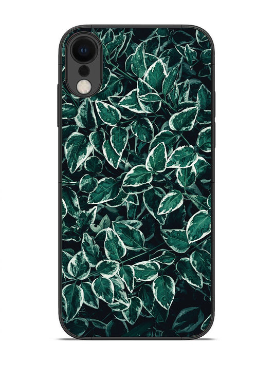 iPhone XR Green Oasis Leafs