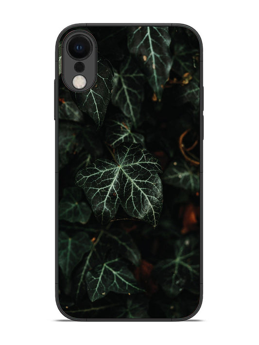 iPhone XR Betel Leafs