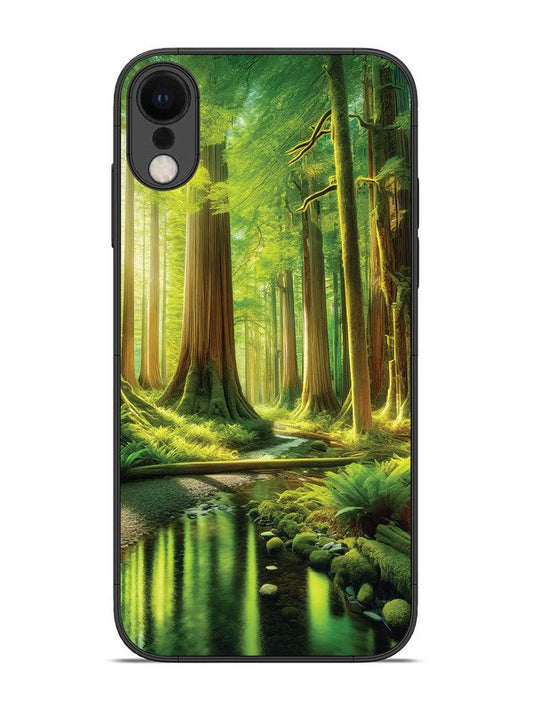 iPhone xr Forest