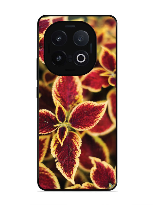 Iqoo 13 5G Autumn Blaze