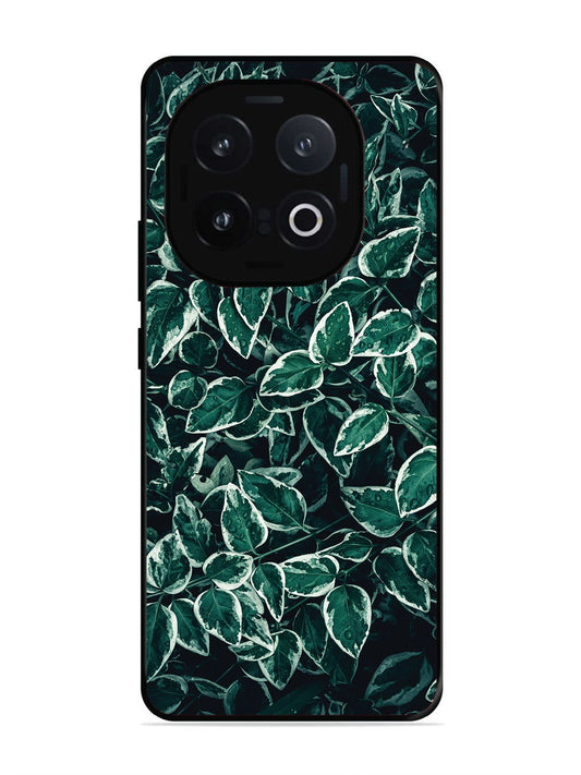 Iqoo 13 5G Green Oasis Leafs