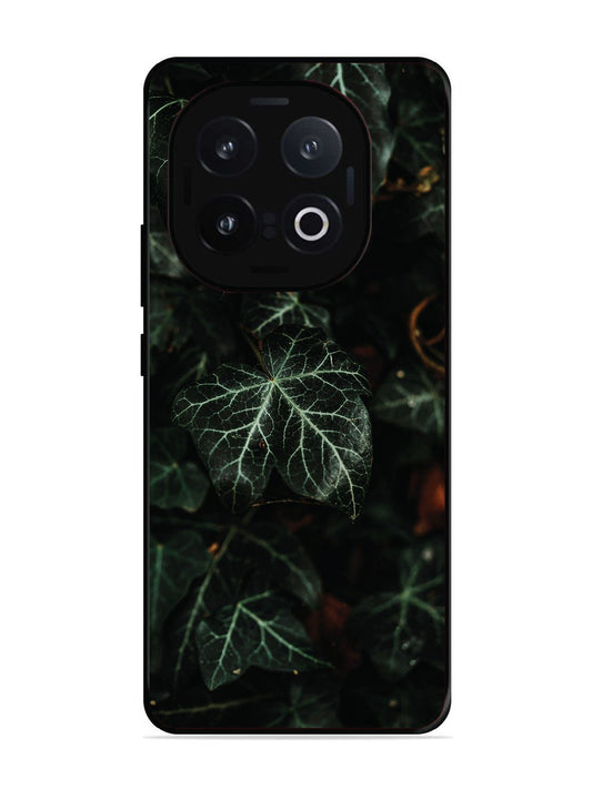 Iqoo 13 5G Betel Leafs