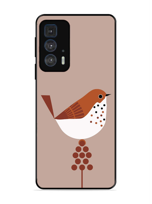 Motorola Moto Edge 20 Pro Sparrow