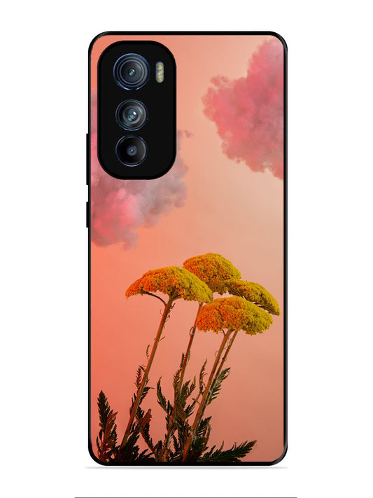 Motorola Moto Edge 30 Floral Sunset Blossom Sky