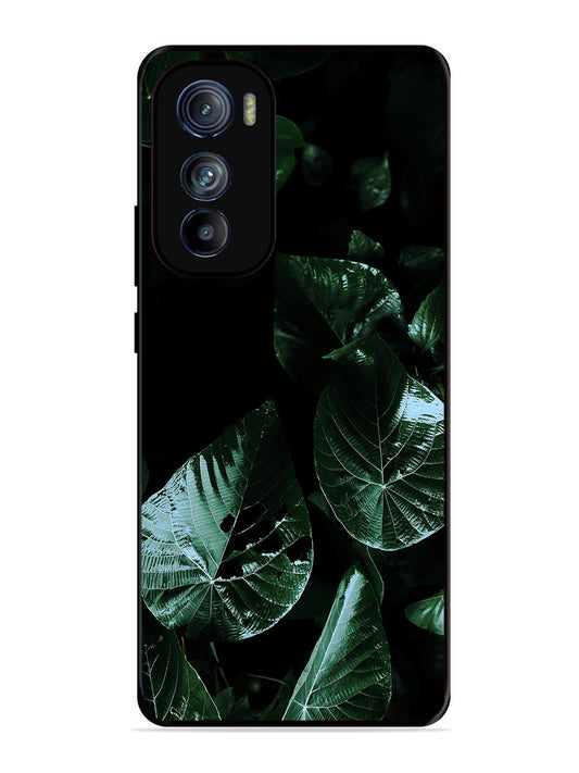 Motorola Moto Edge 30 Leafs at night