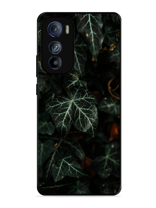 Motorola Moto Edge 30 Betel Leafs