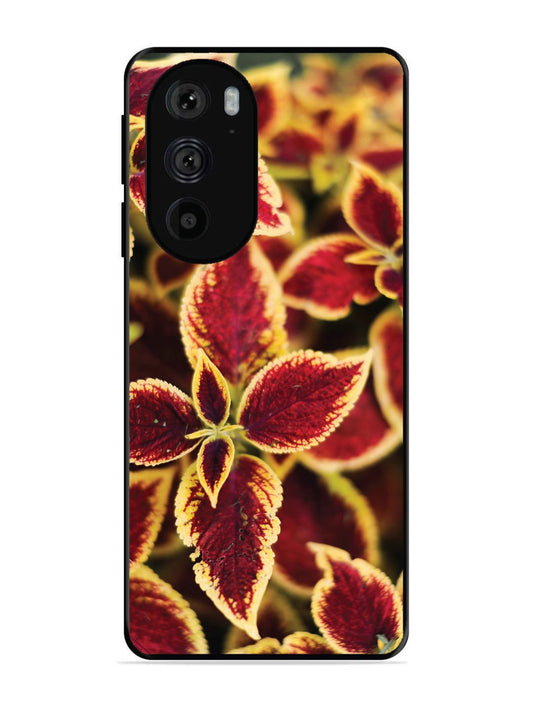 Motorola Moto Edge 30 Pro Autumn Blaze