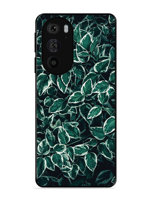 Motorola Moto Edge 30 Pro Green Oasis Leafs