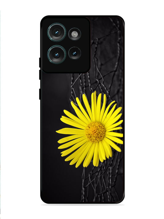 Motorola Edge 50 Sunflower on Fansing