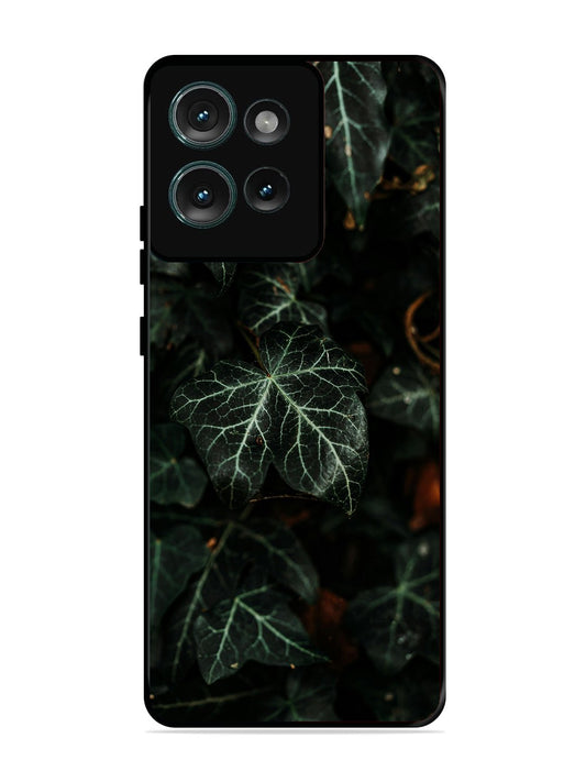 Motorola Edge 50 Betel Leafs