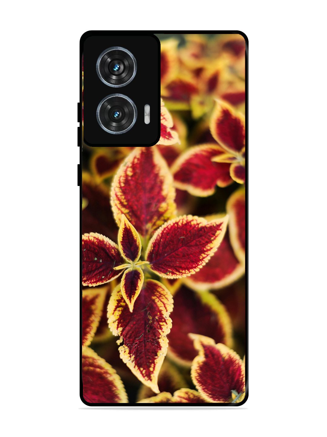 Motorola Edge 50 Fusion Autumn Blaze